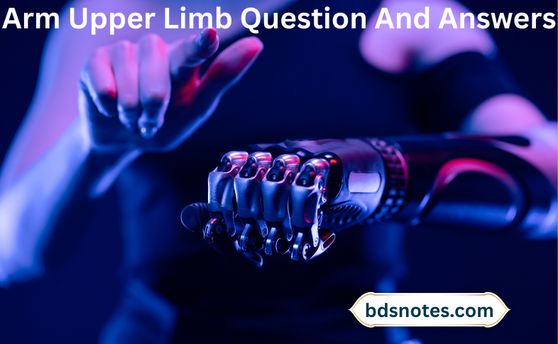Arm Upper Limb Question And Answers