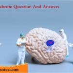 Brain Cerebrum Question And Answers