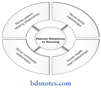 Communication Page Bsc Nursing 2nd Year Communication And Education Technology Chapter 3 Human Relation Question And Answers Dimensions Of Human Relations In Nursing