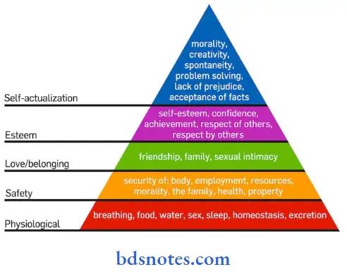 Communication Page Bsc Nursing 2nd Year Communication And Education Technology Chapter 3 Human Relation Question And Answers Maslow Hierarchy Of Needs Model