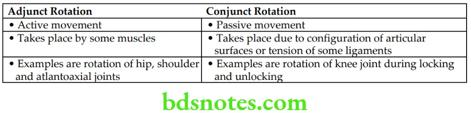General Anatomy Joints Adjunct and conjunct rotation