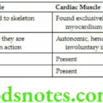 General Anatomy Muscles Comparison and contrast between skeletal cardiac and smooth muscles