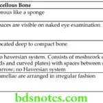 General Anatomy Skeletal system Differences between compact and cancellous bones