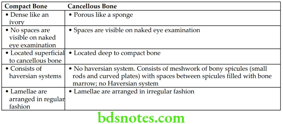 General Anatomy Skeletal system Differences between compact and cancellous bones
