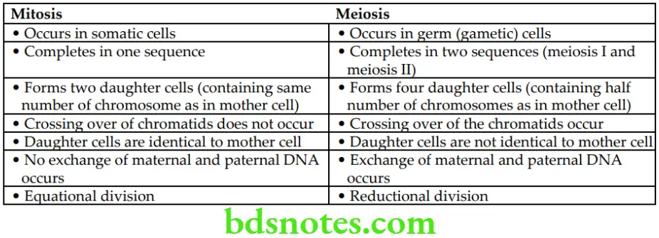 General Histology Introduction to histology Differences between mitosis and meiosis
