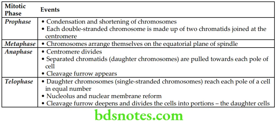 General Histology Introduction to histology Events occuring during mitotic cell division