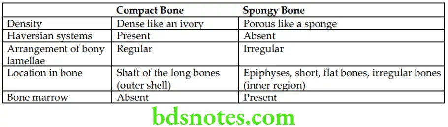 General Histology Special connective tissues Differences between the compact and spongy bones