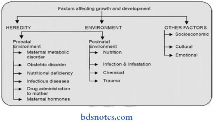 Growth And Development Factors Affecting Growth And Development