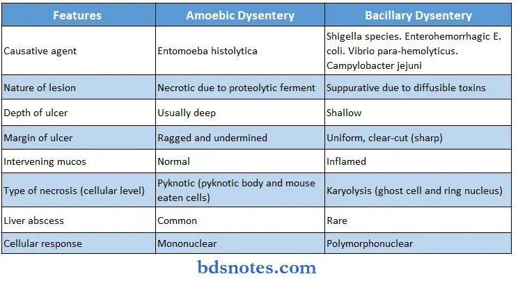 Microbiology Page Bsc Nursing 1st Year Microbiology Nursing Chapter 4 Pathogenic Organisms Question And Answers Differences Between Amoebic And Bacillary Dysentery And Its Features