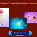 Nervous System Question And Answers