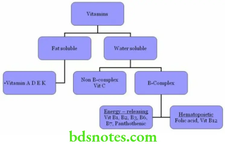 Nutrition And Biochemistry Composition Of Vitamins Classification Of Vitamins