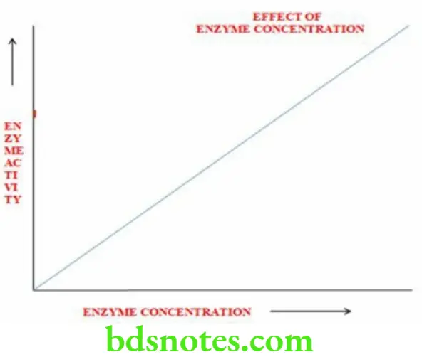 Nutrition And Biochemistry Enzymes Effect Of Enzyme Concentration