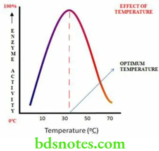 Nutrition And Biochemistry Enzymes Effect Of Temperature
