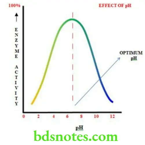Nutrition And Biochemistry Enzymes Effect Of pH