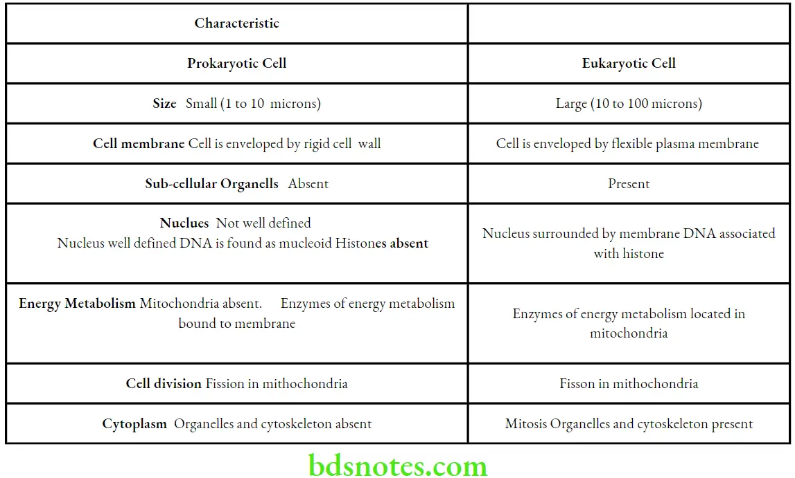 Nutrition And Biochemistry Introduction Differences between prokaryotic cell and eukaryoti cell
