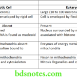 Nutrition And Biochemistry Introduction Differences between prokaryotic cell and eukaryotic cell