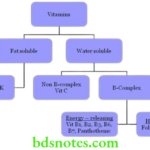 Nutrition And Biochemistry Vitamins Classification of vitamins