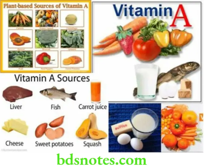 Nutrition And Biochemistry Vitamins Sources of vitamin A