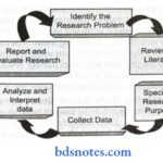 Research Process The Process Of Research