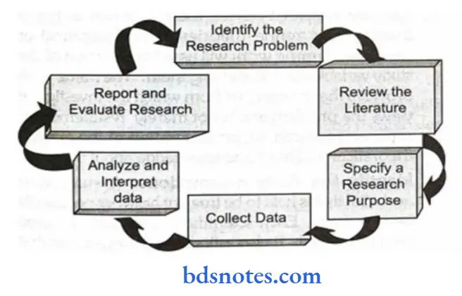 Research Process The Process Of Research