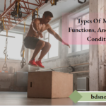 Types Of Muscles , Functions, And Common Conditions