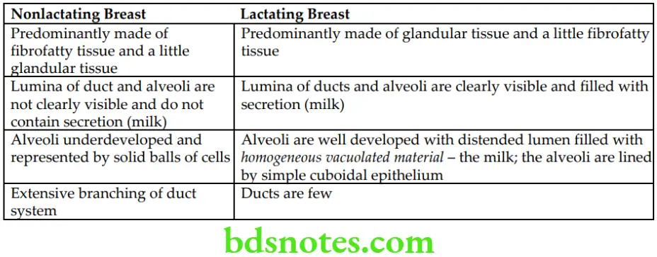 Upper Limb Pectoral region and axilla Differences Between Nonlactating and Lactating Breast