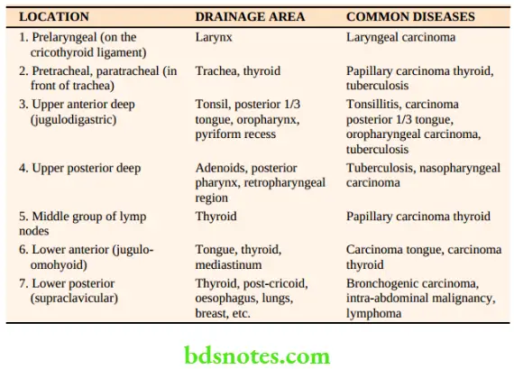 Examination of Swellings, Tumours, Cysts and Neck Swelling Vertical group of lymph nodes.