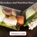 Fluids, Electrolytes And Nutrition Notes
