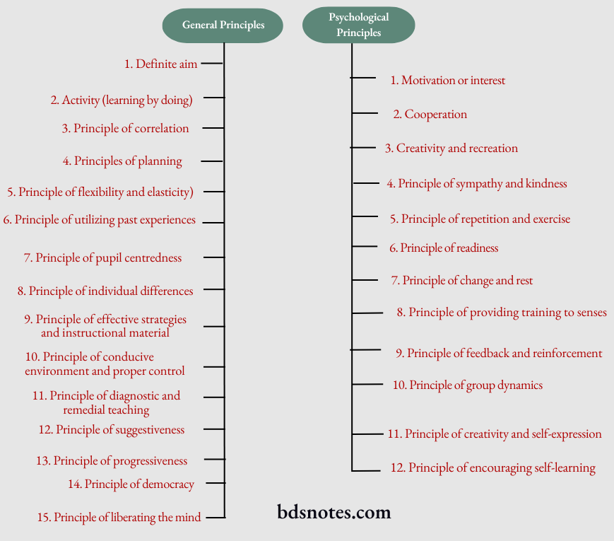 General And Psychological Principles