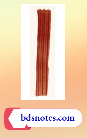 Instrument Corrugated Red Rubber Drain