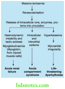 Lower Limb Ischaemia - BDS Notes