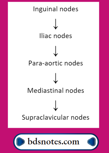 Malignant Melanoma Sole