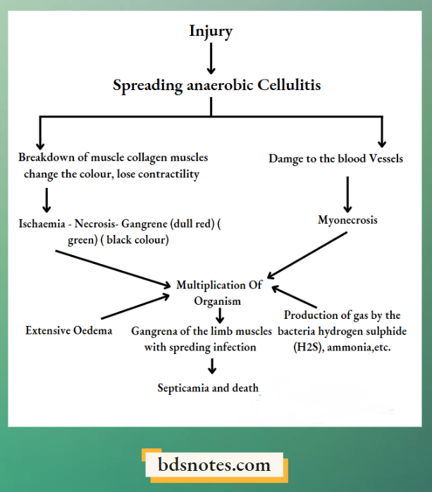 Pathological Changes