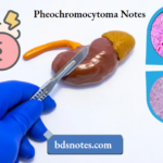 Pheochromocytoma Notes