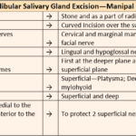 Salivary Glands Submandibular Salivary Gland Excision—Manipal Rule Of 2