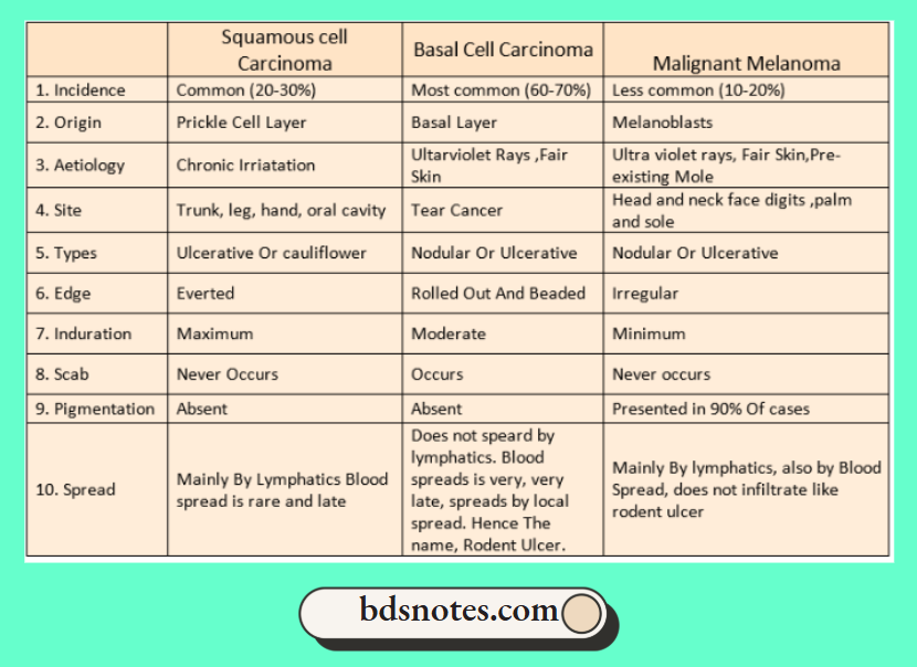 Summary Of The Skin Tumours