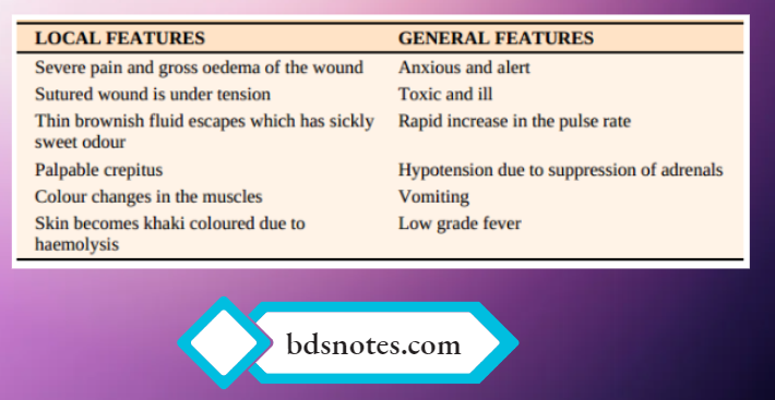 Tetanus And Gas Gangrene Clinical Features