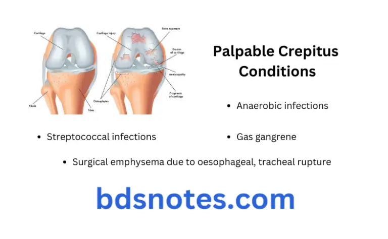 Tetanus And Gas Gangrene Notes - BDS Notes