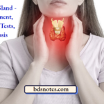 Thyroid Gland - Development, Function Tests, Diagnosis