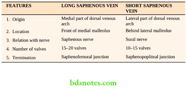 Varicose Veins And Deep Vein Thrombosis Comparison between long saphenous and short saphenous veins