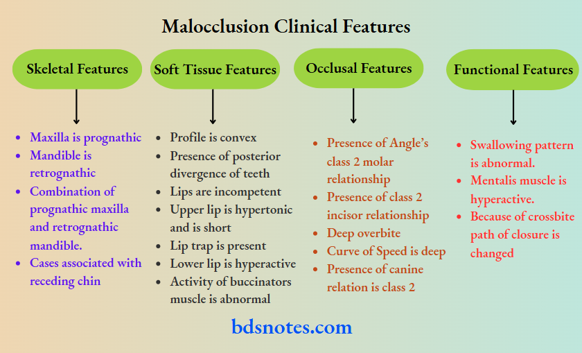 Malocclusion Clinical Features