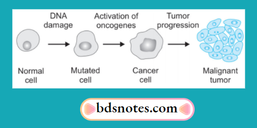 Carcinogenesis Progression Diagram