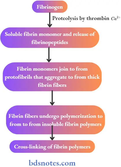 Diseases of Blood Polymerization of Fibrin Monomers