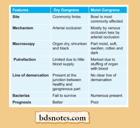 Dry vs Moist Gangrene Comparison Table