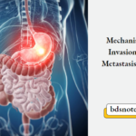 Mechanism of Invasion and Metastasis Notes