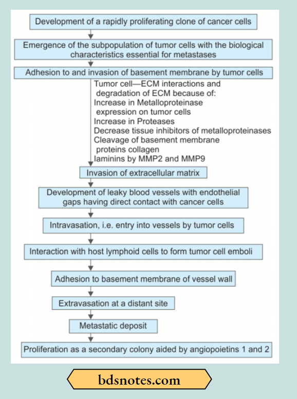 Neoplasm Summary Of Invasion And Metastasis
