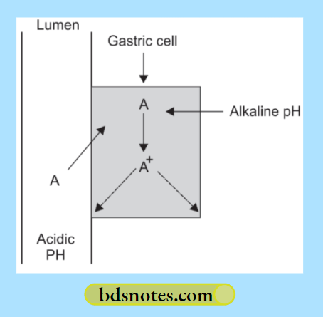 Nonsteroidal Antiinflammatory-Drugs And Antipyretic