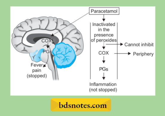 Nonsteroidal Antiinflammatory-Drugs And Antipyretic Analgesics Diagram