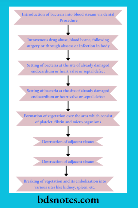 Pathogenesis Sub-Acute Bacterial Endocarditis