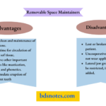 Removable Space Maintainers